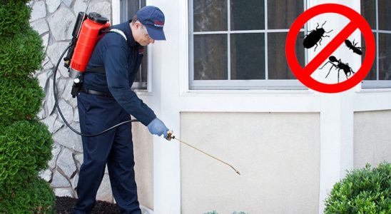 Karkamış Hamam Böceği İlaçlama böcek ilaçlama ve haşere kontrolü — ilaclama-tr.com